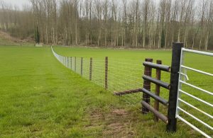 Agricultural Fencing in Hereford