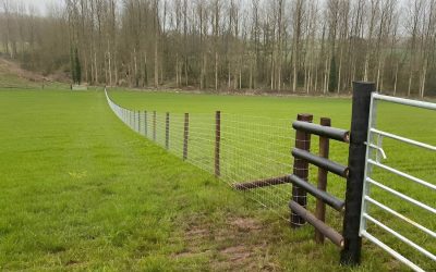 Choosing the Right Agricultural Fencing for Your Herefordshire Farm