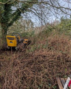 Agricultural Fencing in Shropshire