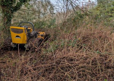 Agricultural Fencing in Shropshire