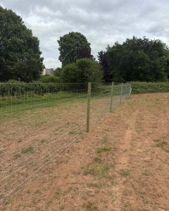 Agricultural Fencing in Shropshire