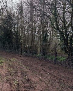 Agricultural Fencing in Shropshire