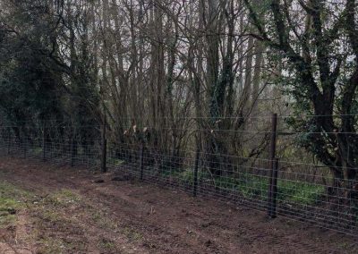 Agricultural Fencing in Shropshire