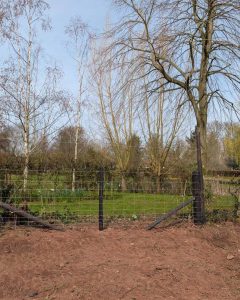 Agricultural Fencing in Shropshire