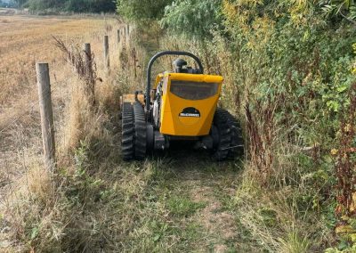 Agricultural Fencing in Shropshire