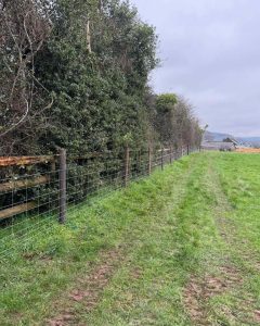Agricultural Fencing in Shropshire