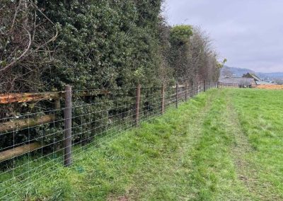 Agricultural Fencing in Shropshire