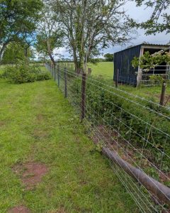Agricultural Fencing in Shropshire