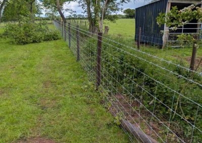 Agricultural Fencing in Shropshire