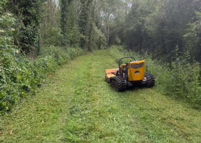 Agricultural Fencing in Shropshire